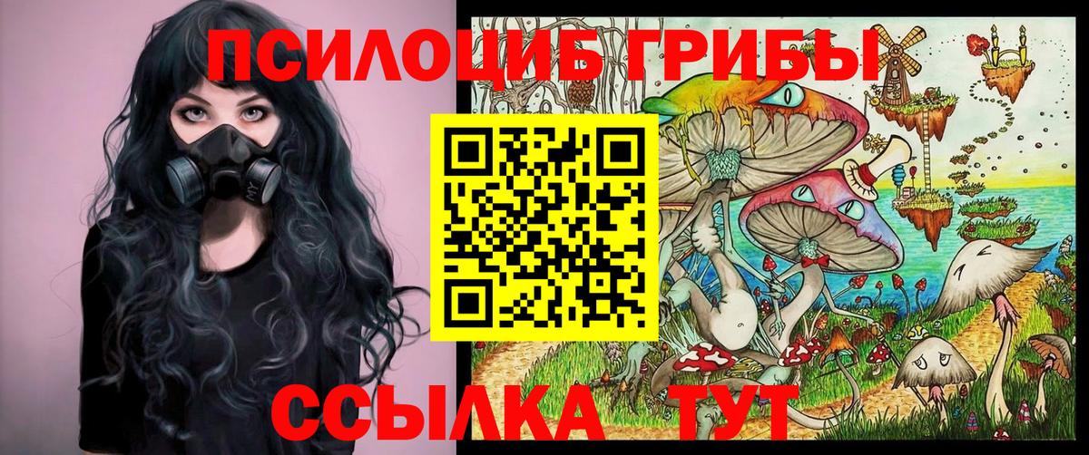 Алатырь  Псилоцибиновые грибы мухоморы  что такое наркотик  Вход с VPN  Псилоцибиновые грибы мухоморы 