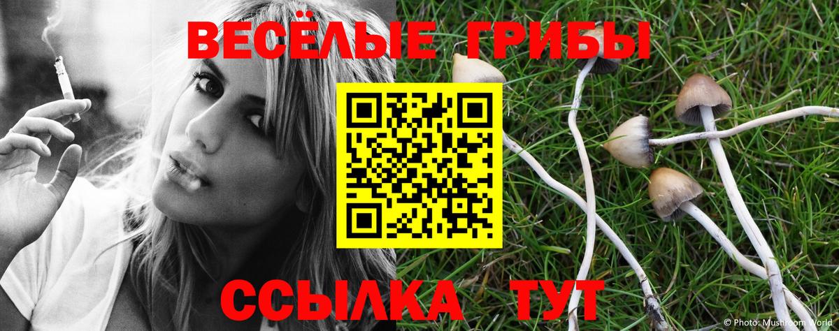 Галлюциногенные грибы прущие грибы Алатырь